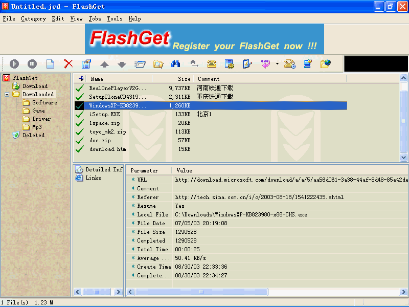 FlashGet Screenshot